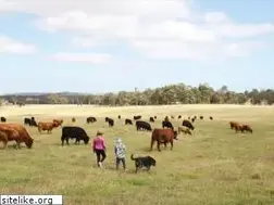 Sites similar to yourfarmer.com.au