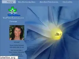Sites similar to yourfloweressences.co.nz