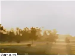 Sites similar to yourgolfspot.com