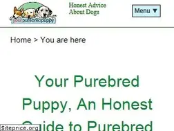 Sites similar to yourpurebredpuppy.com