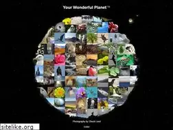 Sites similar to yourwonderfulplanet.com