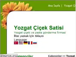 Sites similar to yozgatcicek.com