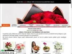 Sites similar to yozgattacicekci.com