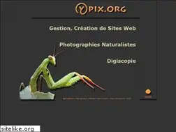 Sites similar to ypix.org