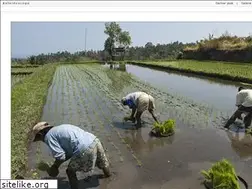 Sites similar to yquem46.fr