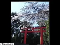 Sites similar to yshimizu.com