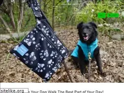 Sites similar to yuckypuppy.com