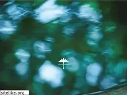 Sites similar to yufuin-kosumosu.jp