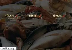 Sites similar to yukselbalik.com.tr