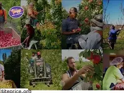Sites similar to yummyfruit.co.nz