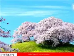 Sites similar to yumoto-g.co.jp