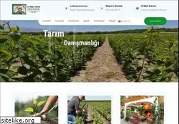 Sites similar to yumrutepefidancilik.com