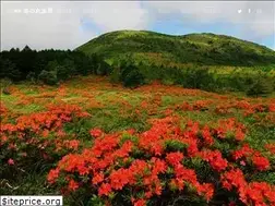 Sites similar to yunomaru.co.jp