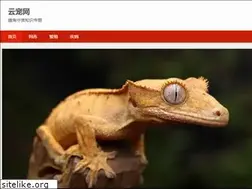 Sites similar to yunpet.com