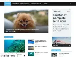 Sites similar to yunusbaligi.net