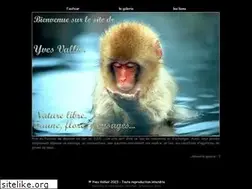 Sites similar to yves-vallier.com