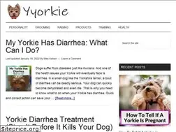 Sites similar to yyorkie.com