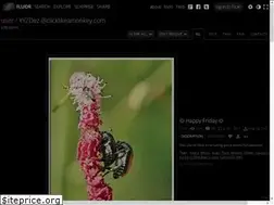 Sites similar to yyzdez.com