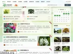 Sites similar to yzerc.org