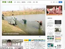 Sites similar to yzydt.com
