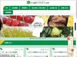 Sites similar to z-lsy.co.jp