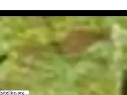 Sites similar to zabakcylowani.pl