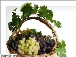Sites similar to zabolevaniya.ru