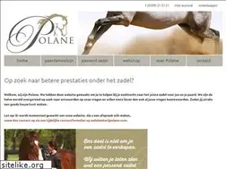 Sites similar to zadelmakerijpolane.nl