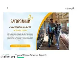 Sites similar to zagorodny.tv