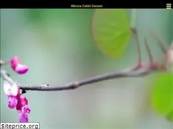 Sites similar to zahiriart.ir