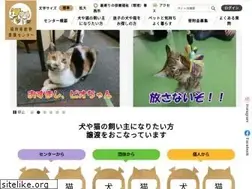 Sites similar to zaidan-fukuoka-douai.or.jp