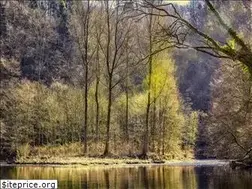 Sites similar to zalacsanyiszabadidokozpont.hu