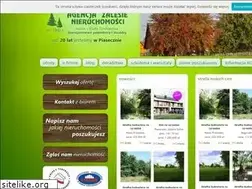 Sites similar to zalesie.com