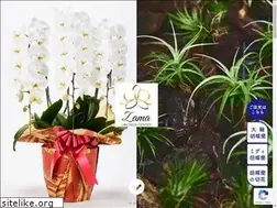 Sites similar to zama-orchids.jp