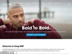 Sites similar to zangsmp.com