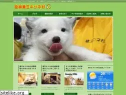 Sites similar to zao-fox-village.com