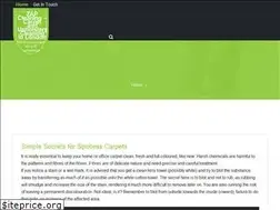 Sites similar to zapcleaningsc.com