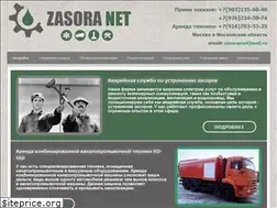 Sites similar to zasoranet.ru