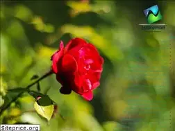 Sites similar to zatelemad.com