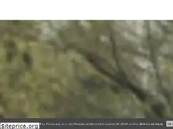 Sites similar to zatokalesna.pl