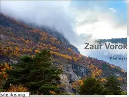 Sites similar to zaurvorokov.com