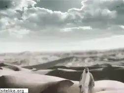Sites similar to zayed.ae