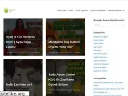 Sites similar to zayiflama.site