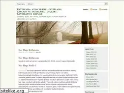 Sites similar to zayiflamatr.wordpress.com