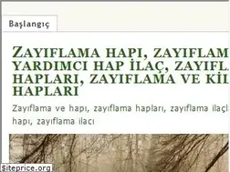 Sites similar to zayiflamavehapi.wordpress.com