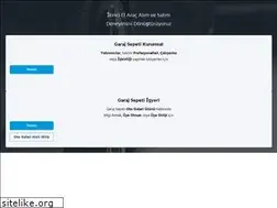 Sites similar to zazaotogaleri.araba.com