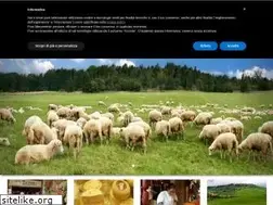 Sites similar to zazzeripienza.it