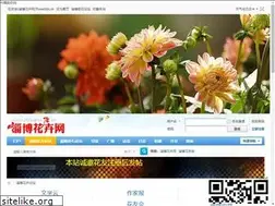 Sites similar to zbhuahui.com