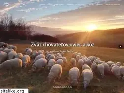 Sites similar to zchok.sk