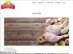 Sites similar to zd-kozieglowy.pl